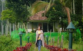 Ayurnest Pool Resort Wayanad